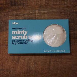Bliss Minty Scrub Soap - DISCONTINUED
